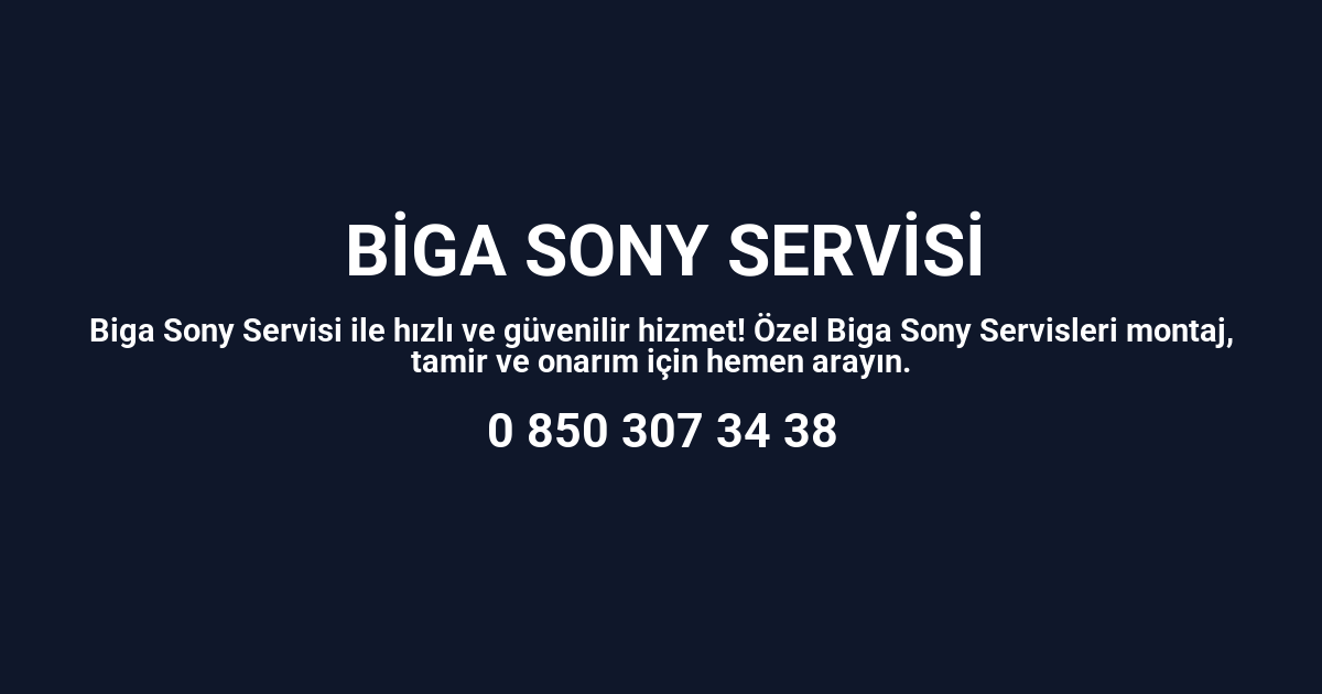 Biga Sony Servisi